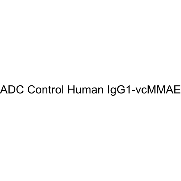 ADC Control Human IgG1-vcMMAE